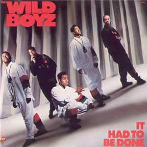 Download The Wild Boyz - It Had To Be Done