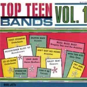 Download Various - Top Teen Bands Vol. 1