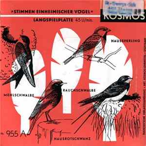 Download No Artist - Stimmen Einheimischer Vögel