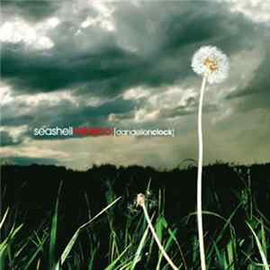 Download Seashell Velasco - Dandelion Clock