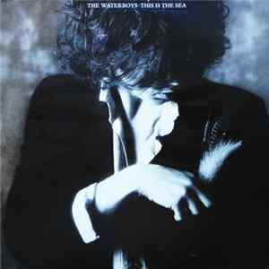 Download The Waterboys - This Is The Sea