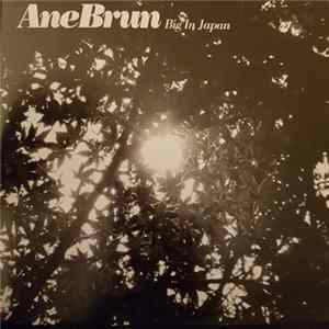 Download Ane Brun - Big In Japan