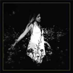 Download A Diadem Of Dead Stars - Kingdoms Bathed In Golden Light