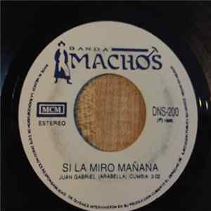 Download Banda Machos - Si La Miro Mañana