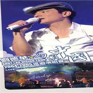 Download 劉德華 - 幻影中國巡迴演唱會 Vision Tour 2004-2005 Live 2CD + Bonus VCD