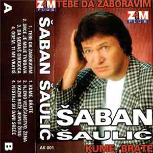 Download Šaban Šaulić - Tebe Da Zaboravim