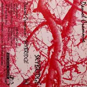 Download Daniel Crommie - Skybridge