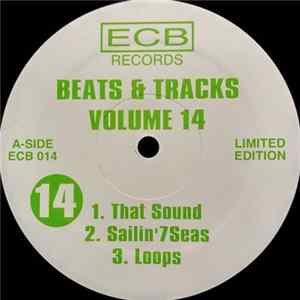 Download DJ Icey - Beats & Tracks Volume 14