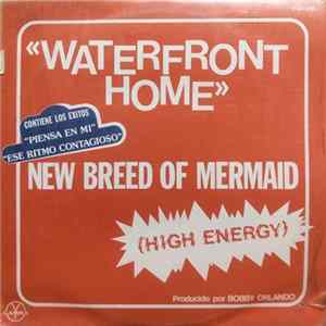 Download Waterfront Home - New Breed Of Mermaid