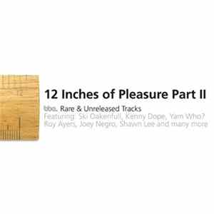 Download Various - 12 Inches Of Pleasure Part II (BBE Rare & Unreleased Tracks)