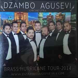 Download Dzambo Agusevi Orchestra - Brass Hurricane Tour - 2014