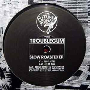 Download Troublegum - Slow Roasted EP