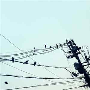 Download Gallery Six / Stabilo - Pluie