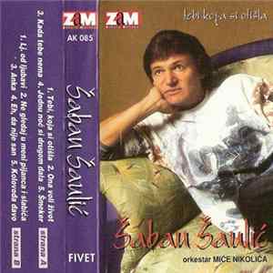 Download Šaban Šaulić - Tebi Koja Si Otišla