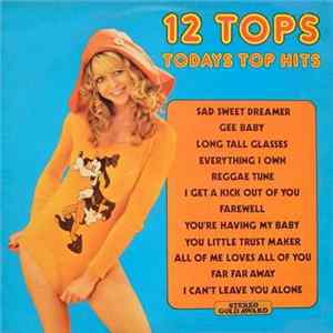 Download Unknown Artist - 12 Tops - Volume 24