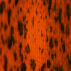 Download Amon Tobin - Twelvses