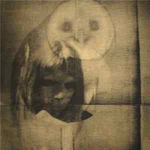 Download Matthew Bailey - Death To Nature