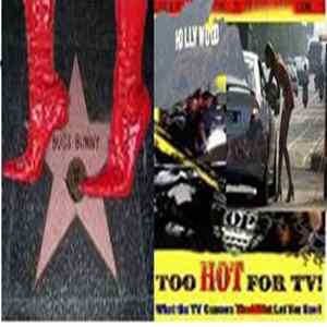 Download James Ferraro - Too Hot For TV