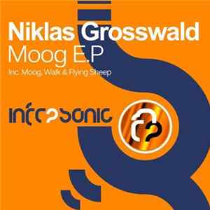 Download Niklas Grosswald - Moog E.P