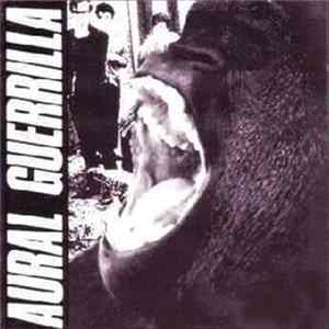 Download The Ex - Aural Guerrilla