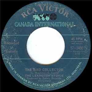 Download Lexington Avenue - The Bird Collector / Flowing Kind Of Feeling