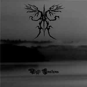 Download Ancient Boreal Forest - Night Creatures