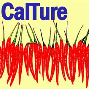 Download CalTure - Travelling Twice