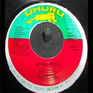 Download Paulene - Bush Weed