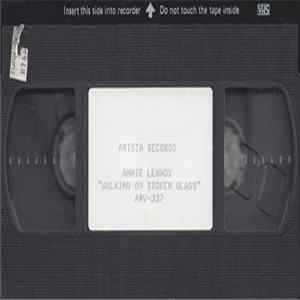 Download Annie Lennox - Walking On Broken Glass