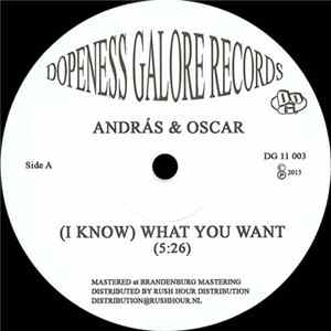 Download András & Oscar - (I Know) What You Want