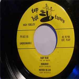 Download Various - Top Hit Tunes