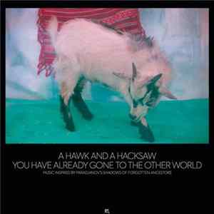 Download A Hawk And A Hacksaw - You Have Already Gone To The Other World