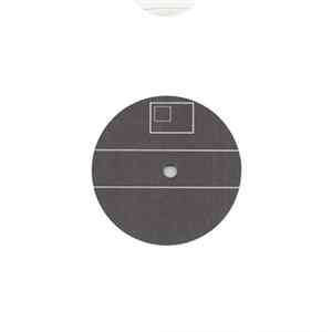 Download The Infant Cycle - A Mysterious Disc