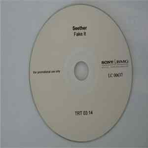Download Seether - Fake it