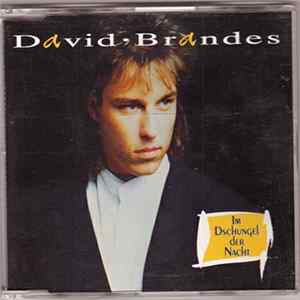 Download David Brandes - Im Dschungel Der Nacht