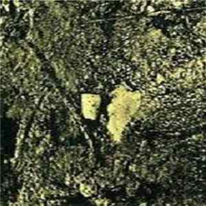 Download Eyeing A Lizard - Await