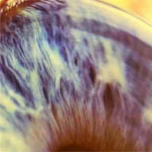 Download Jeffrey Alexander - Floating Lights
