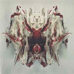 Download Band Of Skulls - Sweet Sour