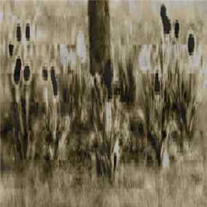 Download Ragk - Catalysis