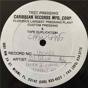 Download Chain Gang - Here I Come There I Go