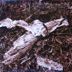 Download David Sylvian + Holger Czukay - Plight & Premonition