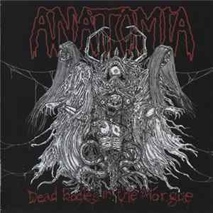 Download Anatomia - Dead Bodies In The Morgue