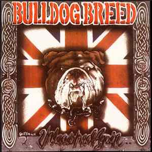 Download Bulldog Breed - Unleashed Again