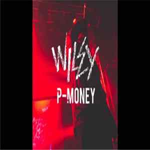 Download Wiley - P-Money