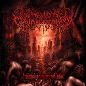 Download Intravenous Contamination - Drowned in Human Fluids