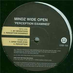 Download Mindz Wide Open - Perception Examined EP