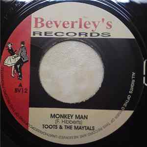 Download Toots & The Maytals - Monkey Man