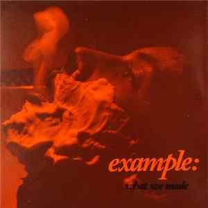 Download Example - What We Made