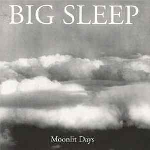 Download Big Sleep - Moonlit Days