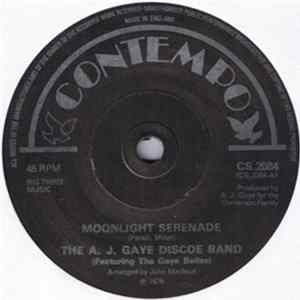 Download The A. J. Gaye Discoe Band - Moonlight Serenade